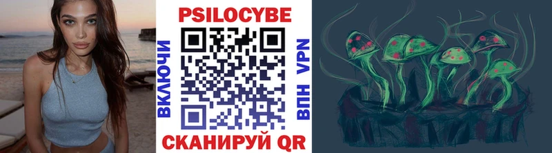 продажа наркотиков Любим Галлюциногенные грибы Psilocybe